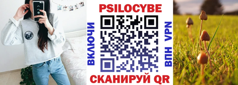 Галлюциногенные грибы GOLDEN TEACHER  Купить где  Челябинск 